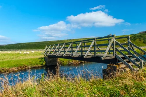 Getting there is half the fun!