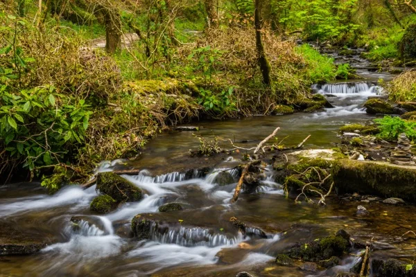 The trail up the glen beside the River Trevillet