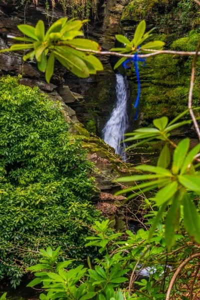 A first glimpse of the waterfall
