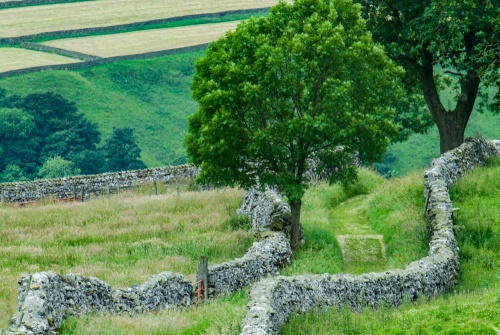 Follow the Pennine Bridleway over the plateau of Stainforth Scar