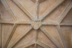 The south porch roof vaulting