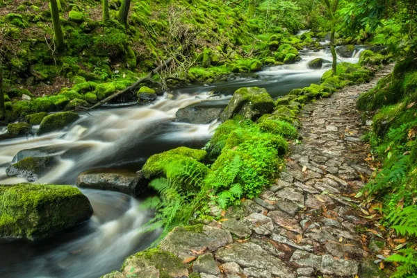 The cobbled path beside Stanley Ghyll