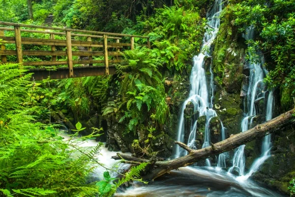 A footbridge across Stanley Ghyll