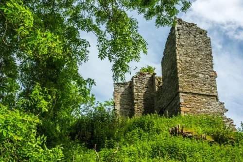 Remains of the Elizabethan house