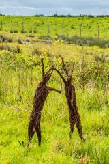 Fighting hares sculpture beside the Wetland Walkway