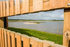 The view from Quantock Hide
