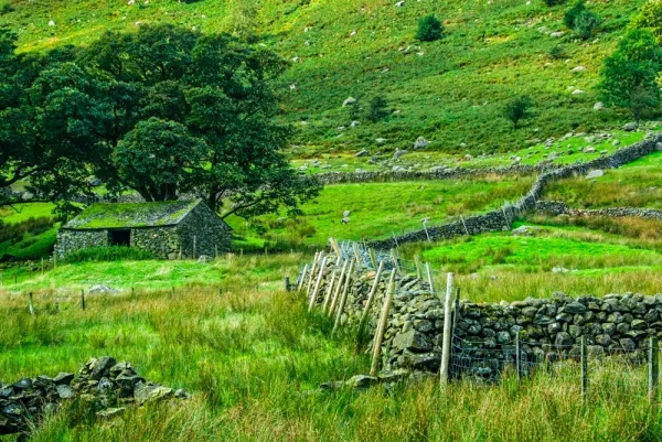 A stone wall and barn at Steel End