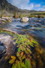 The outflow of Stickle Tarn