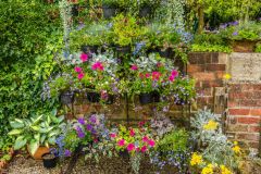 Potted flowers near the garden entrance