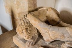 Lion at the foot of the de Waleys effigy