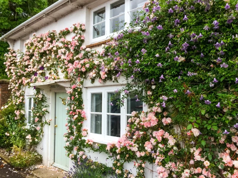 A pretty cottage on Stockbridge High Street