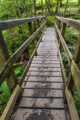 A footbridge leads over the falls to the far bank