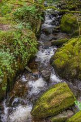 Stock Ghyll from the far bank