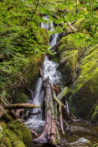 A view from the far bank