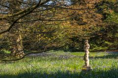 A classical statue on the Bluebell Walk