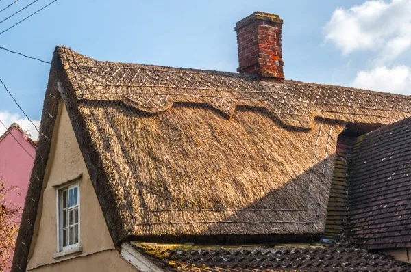 A thatched roof bathed in evening sunlight