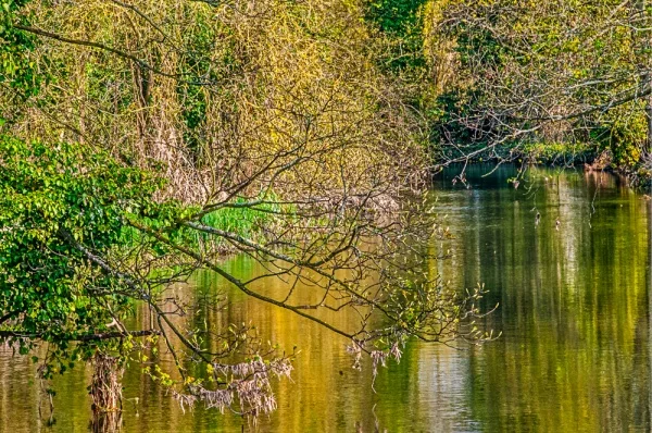 The River Stour at Stratford St Mary