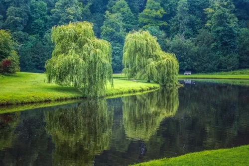 The Studley Royal canal