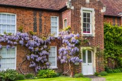 A pretty cottage off Church Street