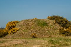 Sutton Hoo, The burial mound