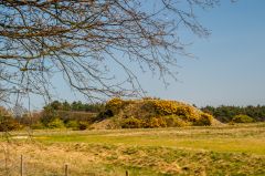 Sutton Hoo, The burial mound from the south