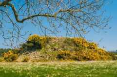 Sutton Hoo, The mound from the south-west