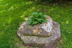 The base of a medieval cross in the churchyard