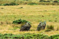 The standing stones from the farm track