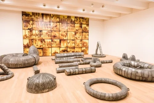 The Solemn Process, by Anna Lupas