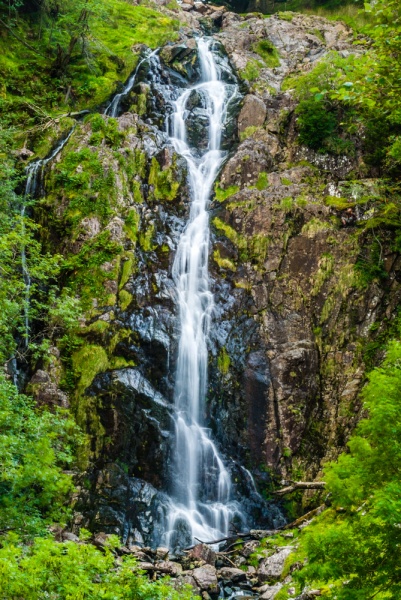 Taylor Ghyll Force