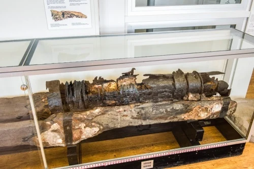 The 16th-century Tenby Gun