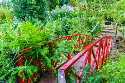 Teviot Water Gardens