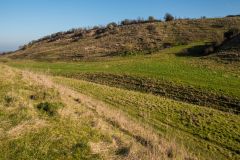 The dry valley bottom in February