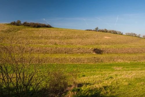 Strip lynchets in The Coombes