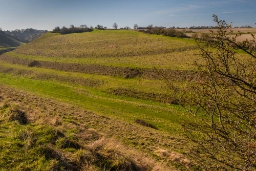 Medieval strip lynchets cut into the western slopes of the valley