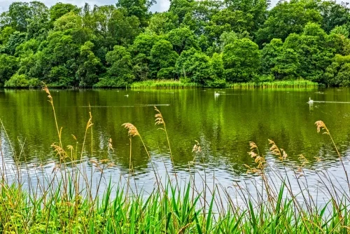 The Hirsel Estate parkland walks