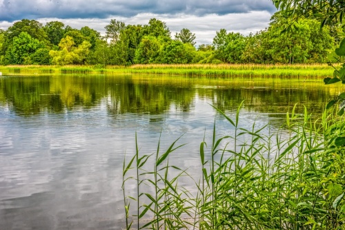 Hirsel Lake, The Hirsel Estate