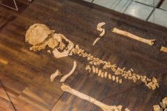 North Bersted Man skeleton