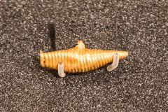 A golden Bronze Age pendant