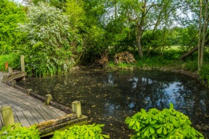 Spinney Pond