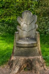 A chair carved from a tree stumkp