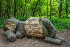 A lion carved from a fallen tree
