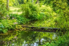 A peaceful weir on the stream