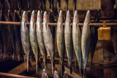 (Models of) Herring fish curing