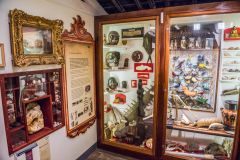 An 18th century Cabinet of Curiosities