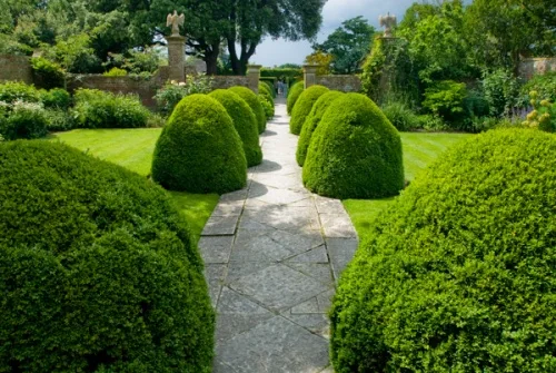 Topiary lines the garden path