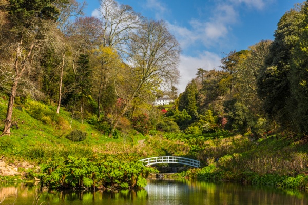 Trebah Gardens