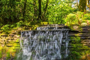 The cascade at the top of the ravine