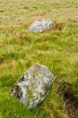 A pair of stones in the large circle