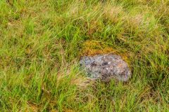 Some of the stones are almost buried in the grass